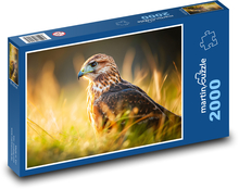 Adler - Vogel, Feder Puzzle 2000 Teile - 90 x 60 cm