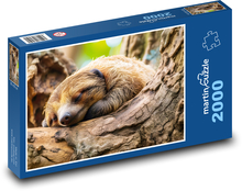 Faultier - Baum, Säugetier Puzzle 2000 Teile - 90 x 60 cm