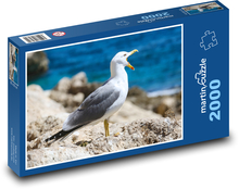 Mewa - ptak, wybrzeże Puzzle 2000 elementów - 90x60 cm