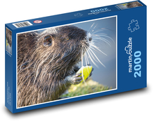 Nutrie - Nagetier, Säugetier Puzzle 2000 Teile - 90 x 60 cm