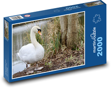 Schwan - Wasservogel, See Puzzle 2000 Teile - 90 x 60 cm