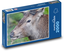 Hirsch - Tier, Wald Puzzle 2000 Teile - 90 x 60 cm