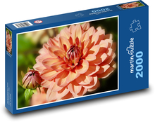 Jiřina - Blume, Knospen Puzzle 2000 Teile - 90 x 60 cm