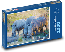 Nosorożec - nosorożce, zwierzęta Puzzle 2000 elementów - 90x60 cm