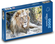 Lion - king of animals, safari Puzzle 2000 pieces - 90 x 60 cm