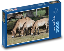 Das Pferd, das Tier Puzzle 2000 Teile - 90 x 60 cm