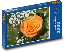 Orange Rose - Blume, Blume Puzzle 2000 Teile - 90 x 60 cm