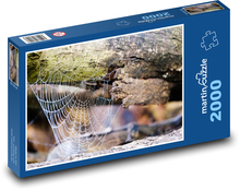 Pavučina - ranná rosa, kmeň stromu Puzzle 2000 dielikov - 90 x 60 cm
