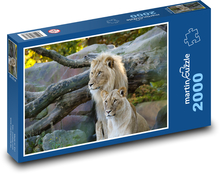 Veľké mačky - lev, levice Puzzle 2000 dielikov - 90 x 60 cm