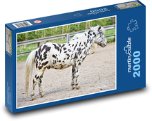 Pony - kleines Pferd, Tier Puzzle 2000 Teile - 90 x 60 cm