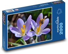 Krokus - Blume, Biene Puzzle 2000 Teile - 90 x 60 cm