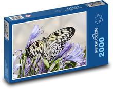 Motýľ - hmyz, krídlo Puzzle 2000 dielikov - 90 x 60 cm