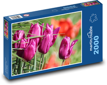 Růžový tulipán - květina, zahrada Puzzle 2000 dílků - 90 x 60 cm