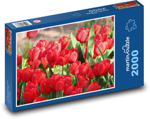 Červené tulipány - květiny, zahrada Puzzle 2000 dílků - 90 x 60 cm