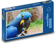 Blaupapagei - Vogel, Tier Puzzle 2000 Teile - 90 x 60 cm