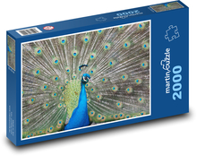 Pfau - Feder, schillernder Vogel Puzzle 2000 Teile - 90 x 60 cm
