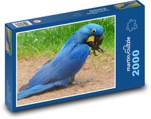 Modrý papoušek - pták, zvíře Puzzle 2000 dílků - 90 x 60 cm