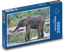 Słoń - safari, zwierzę Puzzle 2000 elementów - 90x60 cm