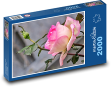 Rosen - Blumen, Garten Puzzle 2000 Teile - 90 x 60 cm