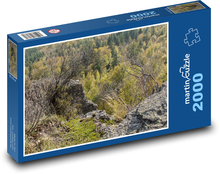 Wald - Bäume, Natur Puzzle 2000 Teile - 90 x 60 cm