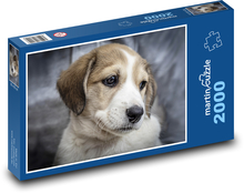 Šteniatko - domáci miláčik, pes Puzzle 2000 dielikov - 90 x 60 cm