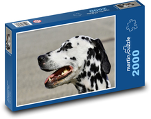 Dog - Dalmatian, pet Puzzle 2000 pieces - 90 x 60 cm