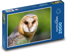 Spálená sova - predátor, vták Puzzle 2000 dielikov - 90 x 60 cm