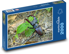 Stag beetle - beetle, insect Puzzle 2000 pieces - 90 x 60 cm