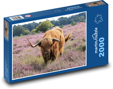 Krowa - zwierzę, bydło Puzzle 2000 elementów - 90x60 cm