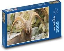 Steinbock - Tier, Säugetier Puzzle 2000 Teile - 90 x 60 cm