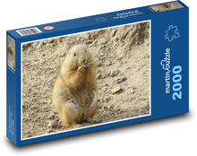Prairie dog - animal, zoo Puzzle 2000 pieces - 90 x 60 cm