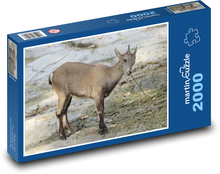 Kozoroh - zvíře, savec Puzzle 2000 dílků - 90 x 60 cm