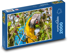 Exotic parrot - bird, animal Puzzle 2000 pieces - 90 x 60 cm