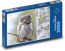 Sova na větvi - pták, zvíře Puzzle 2000 dílků - 90 x 60 cm