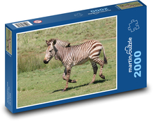 Zebra - zwierzę, zoo Puzzle 2000 elementów - 90x60 cm