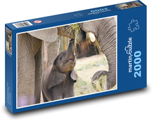 Slon - dieťa, slon Puzzle 2000 dielikov - 90 x 60 cm