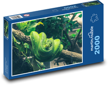 Krajta na stromě - zvíře, had Puzzle 2000 dílků - 90 x 60 cm