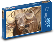 Buvol - Jihoafrická republika, zvíře Puzzle 2000 dílků - 90 x 60 cm