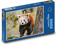 Panda červená - zvíře, medvídek Puzzle 2000 dílků - 90 x 60 cm