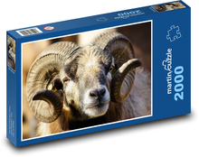 Schafe - Hörner, Tiere Puzzle 2000 Teile - 90 x 60 cm