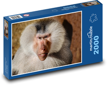 Pavián - zvíře, opice  Puzzle 2000 dílků - 90 x 60 cm