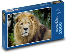 Löwe - Großkatze, Tier Puzzle 2000 Teile - 90 x 60 cm