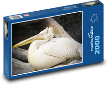 Pelikán - vodní pták, zvíře Puzzle 2000 dílků - 90 x 60 cm