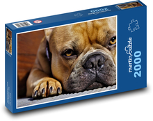 Pies - łapa, nos Puzzle 2000 elementów - 90x60 cm