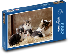 Kočičí rodina - kotě, mazlíčci Puzzle 2000 dílků - 90 x 60 cm