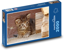 Ciekawski kotek - zwierzak, szczenię Puzzle 2000 elementów - 90x60 cm