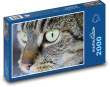 Britische Kurzhaarkatze - Haustier, Viper Puzzle 2000 Teile - 90 x 60 cm