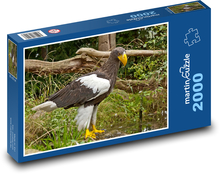 Orel - dravec, dravý pták Puzzle 2000 dílků - 90 x 60 cm