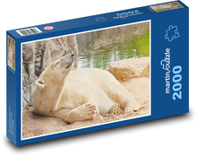 Lední medvěd - Aljaška, savec Puzzle 2000 dílků - 90 x 60 cm