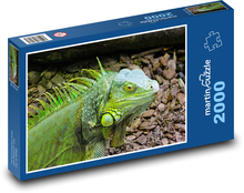Green iguana - reptile, animal Puzzle 2000 pieces - 90 x 60 cm